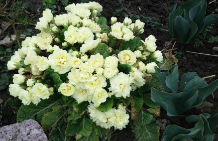 FeWoFreiZeit - Foto 21