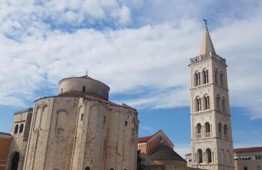 Olive Garden - Photo 38