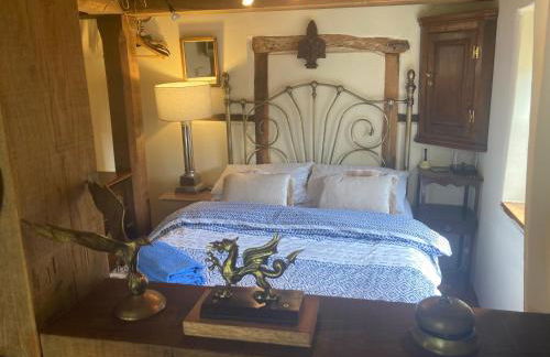 Little Pentre Barn with cozy logburner - Foto 29