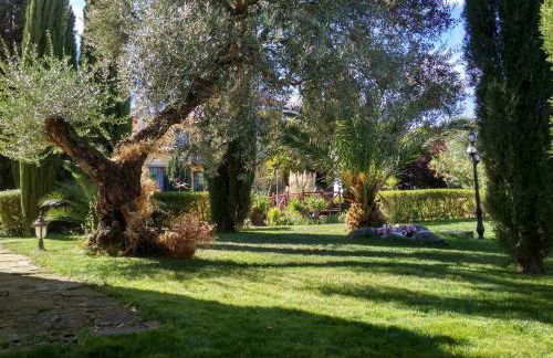 Andalusian experience - Foto 60