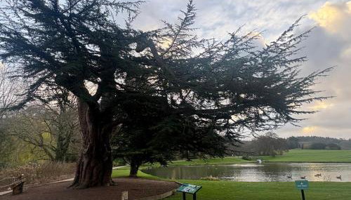 Little Vine Cottage in the grounds of Leeds Castle - Foto 5