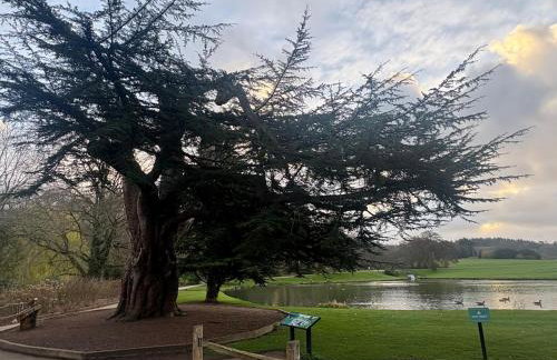 Little Vine Cottage in the grounds of Leeds Castle - Foto 5