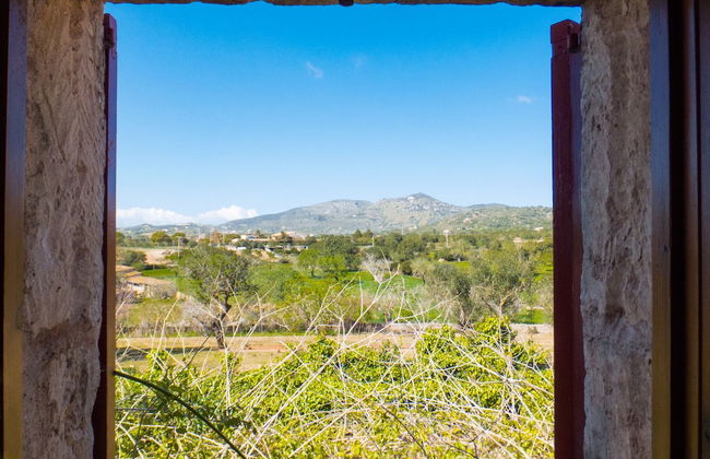 Finca Ses Cases Noves - Foto 79