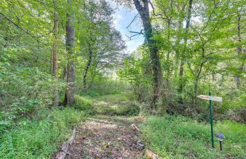 Georgia Home with 2 Fire Pits and Creek Access! - Foto 35