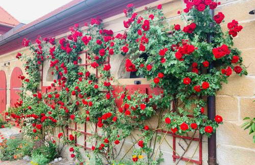 Lovely room in a 18th century manor - Foto 26