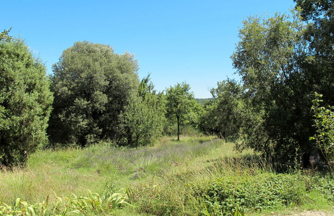 Le Moulin de Verfeuil - Foto 5