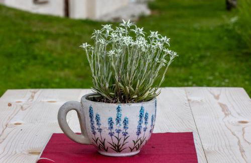 Agriturismo Maso Runch - Foto 41