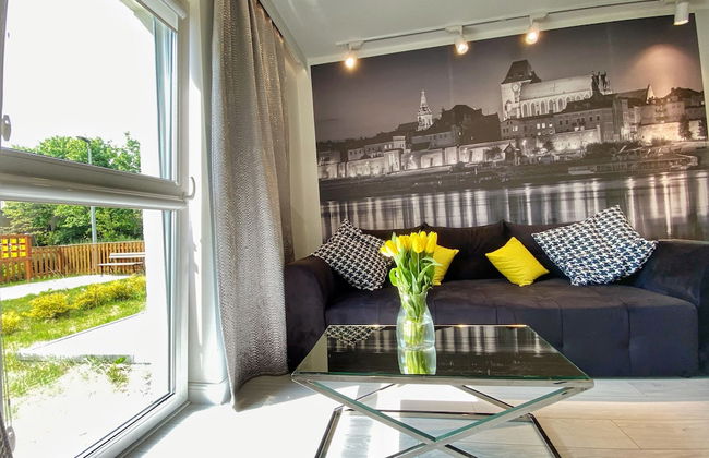 BP II Premium - Foto 7