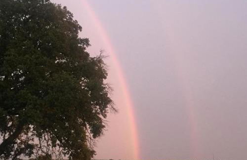 El Carro del Abuelo - Foto 71