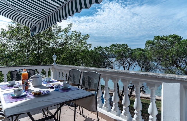 Apartment Bor - Photo 5