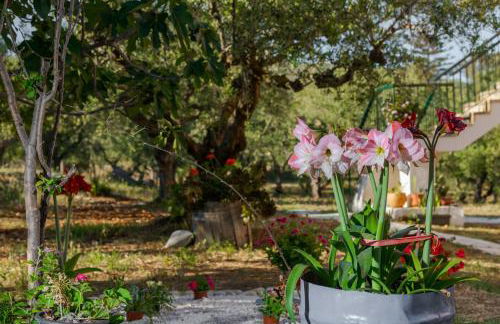 Villa Nena - Foto 28