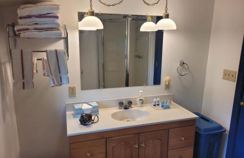 Schmidt's Cove - Amazing Private Lakefront! - Foto 45