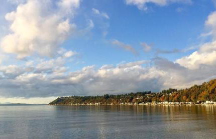 Spacious Retreat 3 Miles to Airport 12 to Seattle - Foto 44