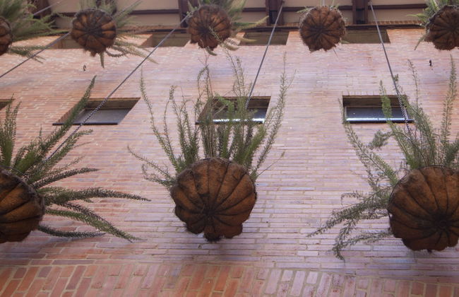 Cora 127 Plenitud - Photo 80