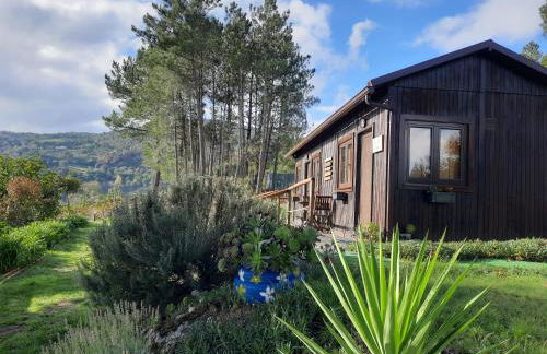 Casinha do Cedro - Foto 7