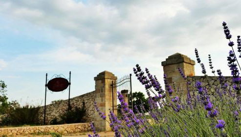 Antica Masseria Scagnito - Foto 2, Garden