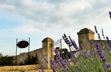 Antica Masseria Scagnito - Foto 2