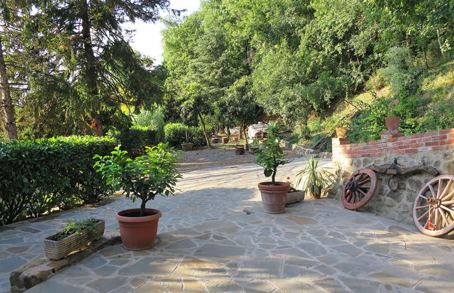 L'Orlo del Bosco - Foto 40