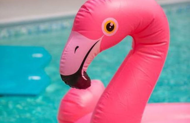 Mid-century Gem w Secret 4th Bedroom Near Downtown - Foto 24