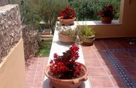 Il Suo Paradiso - Photo 41