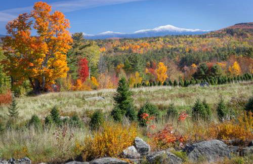 Experience the Rocks Estate like never before with a stay at the Gardeners Cottage! - Foto 56