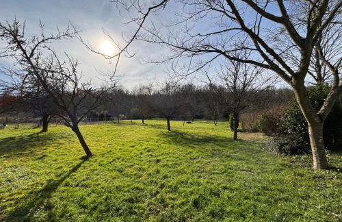 Maison de la forêt - Foto 26