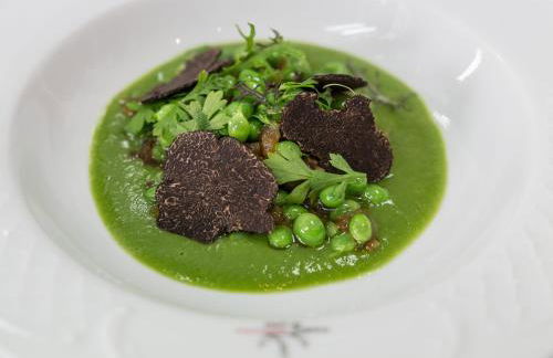 Aromas del Jiloca, la Trufa Negra - Foto 29