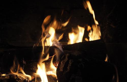 Agriturismo Dea - Photo 44