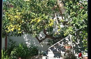 Spiti Ouranoupoli - Foto 20