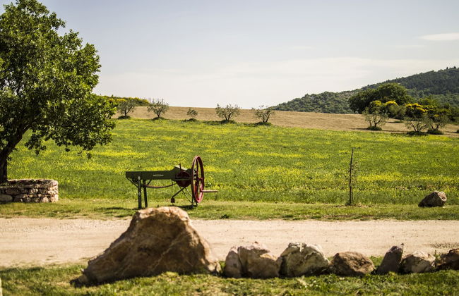 Agriturismo La Collina - Foto 29