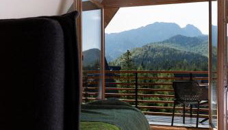 Green Deer Premium - Foto 4