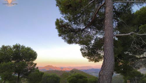 Cueva Arroyo Molino - CuevasCazorla - Foto 2