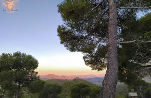 Cueva Arroyo Molino - CuevasCazorla - Foto 2