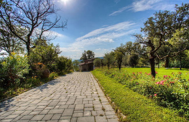 Fattorie di Celli - Photo 41