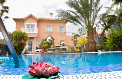 Apartamentos Los Delfines - Foto 13