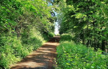 Quartier 311 mit Pool - Foto 34