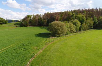 Extertal-Ferienpark - Premium Ferienhaus Sonnental - Sauna #50 - Foto 17