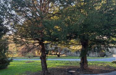 Maison Bourgeoise de caractère - Foto 26