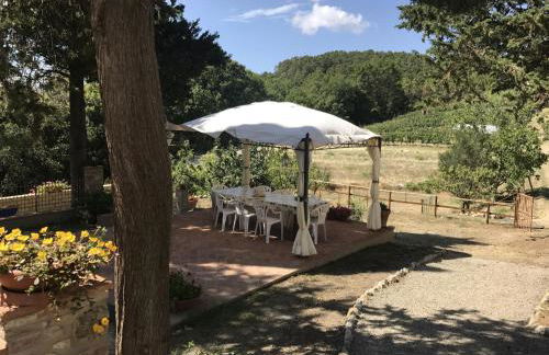 Tuscany Family Country Home - Foto 45