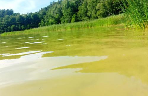 Smocze Ranczo - Foto 77