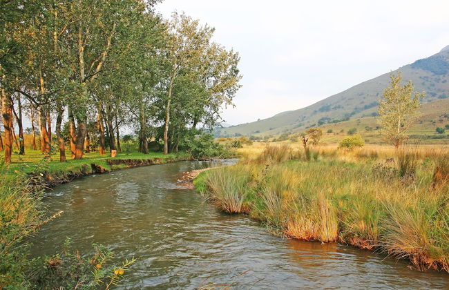 Verlorenkloof Estate - Foto 17