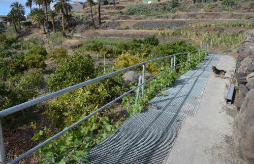 Galeón Ossorio Vistas Panoramicas - Foto 12