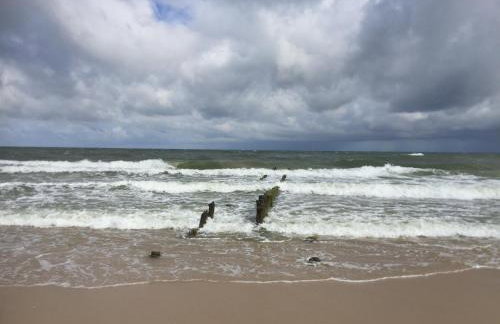 La Petite France - Foto 59