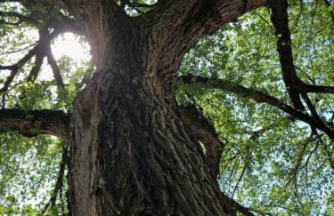 CWE Luxury La Maison Modern - Foto 5