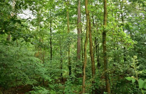 Sulistrowiczki Kwiatowa 3 - Photo 11