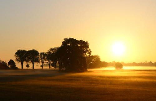 Elbwiesenhaus mit schönen Garten - Foto 54