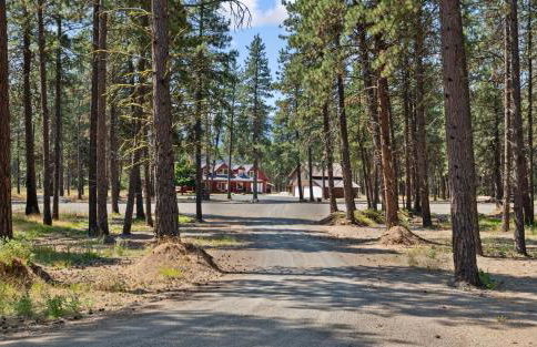 Forest Escape - Foto 43