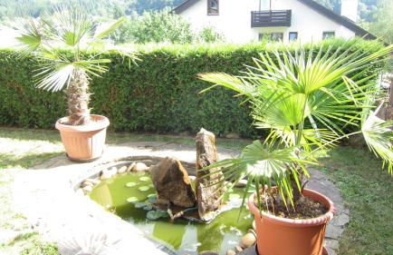 Ferienwohnung Haffner - Foto 15