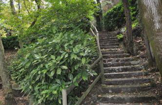 Apartamento "El Lilà" - Parking incluido - Foto 49