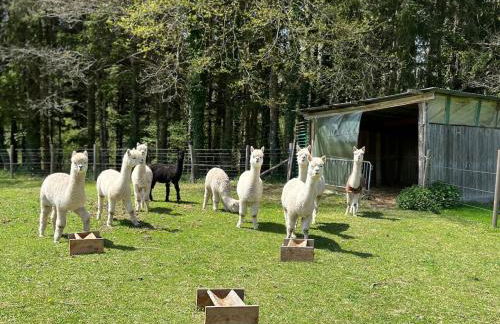 Très beau gîte à proximité du Lac de Vassivière - Foto 28
